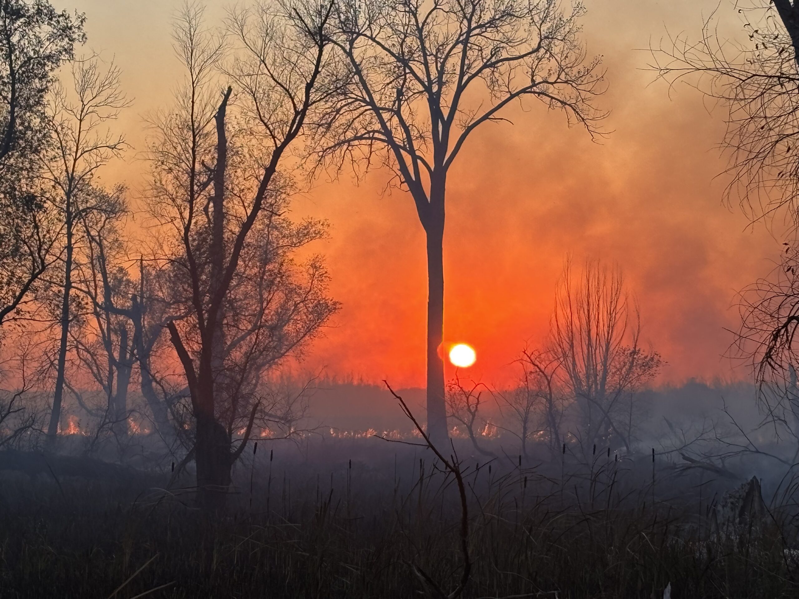 Wisconsin sees record start to the fire season as climate change drives more blazes